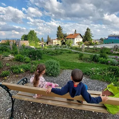 Wald-panorama-zimmer Frühstückspension