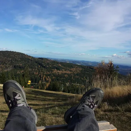 Wald-panorama-zimmer Frühstückspension
