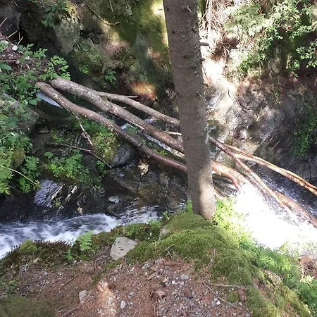 Frühstückspension Wald-panorama-zimmer Mönichkirchen