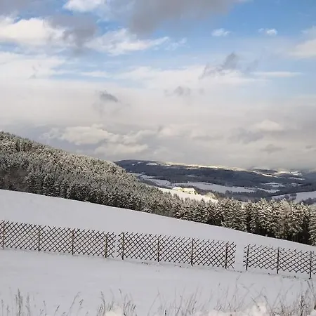 Wald-panorama-zimmer 3*