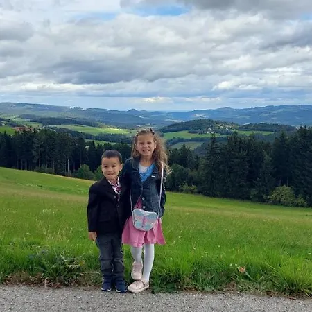 Wald-panorama-zimmer 3*