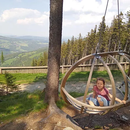 Wald-panorama-zimmer Frühstückspension Mönichkirchen