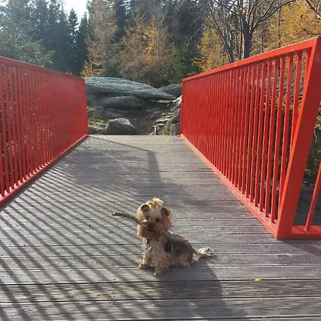 Wald-panorama-zimmer