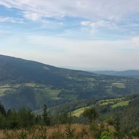 Wald-panorama-zimmer Mönichkirchen