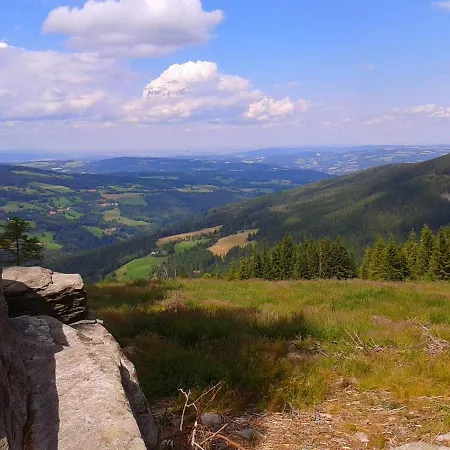 Wald-panorama-zimmer Frühstückspension