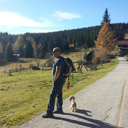 Wald-panorama-zimmer Frühstückspension