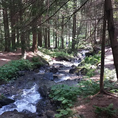 Frühstückspension Wald-panorama-zimmer 3*