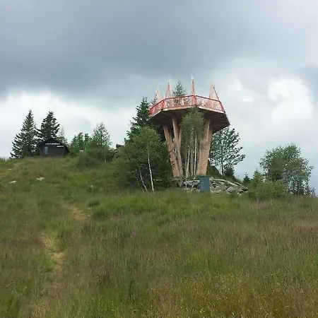 Wald-panorama-zimmer Moenichkirchen