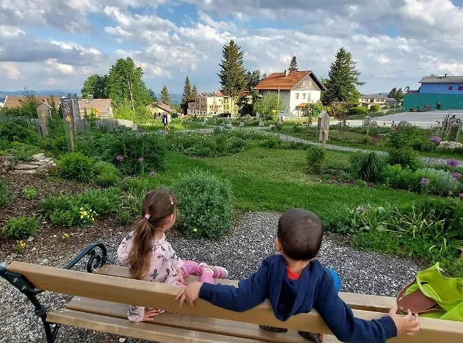 Wald-panorama-zimmer Frühstückspension