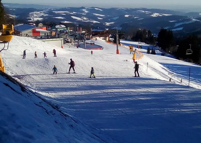 Frühstückspension Wald-panorama-zimmer 3*