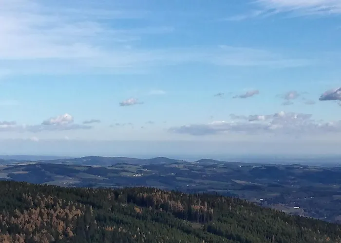 Wald-panorama-zimmer 3* Mönichkirchen
