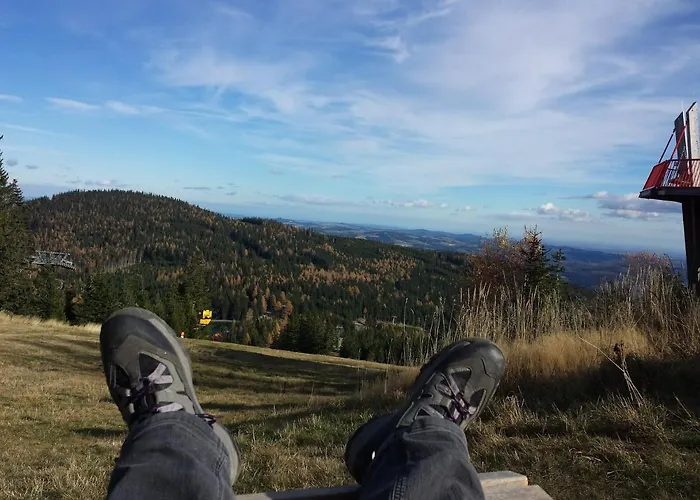 Wald-panorama-zimmer Frühstückspension