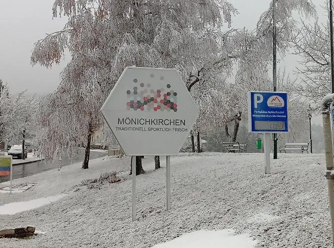 Wald-panorama-zimmer