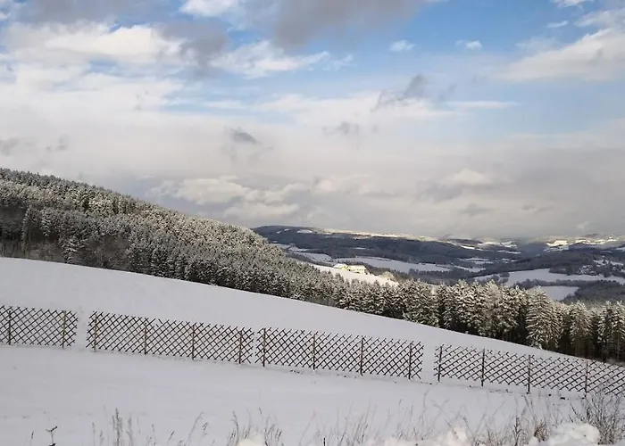 Wald-panorama-zimmer 3*