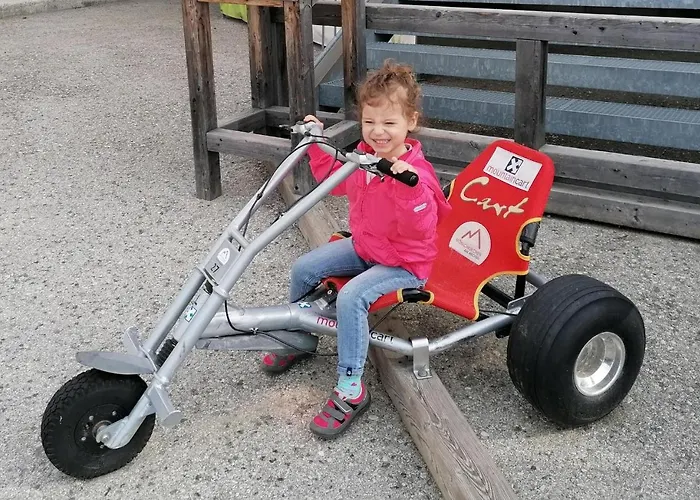 Wald-panorama-zimmer