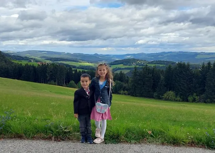 Wald-panorama-zimmer 3*