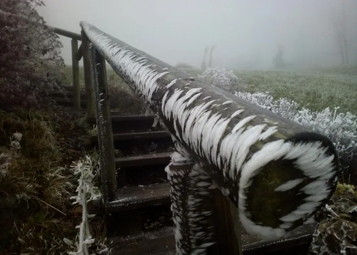 Bed & Breakfast Wald-panorama-zimmer