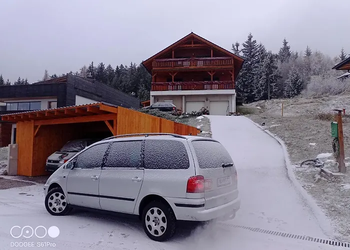 Wald-panorama-zimmer
