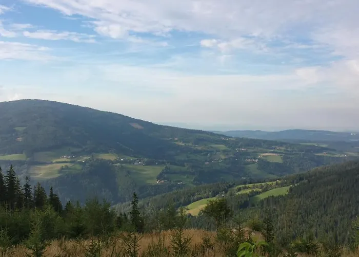 Wald-panorama-zimmer Mönichkirchen