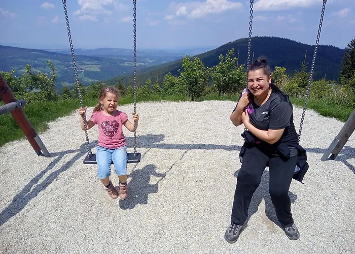 Wald-panorama-zimmer
