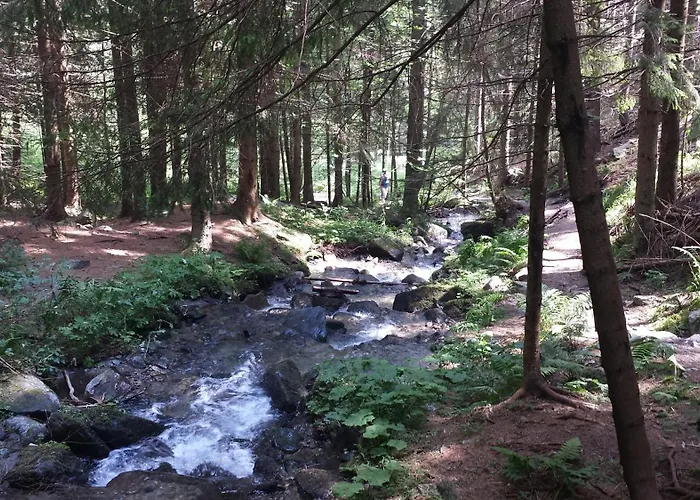 Frühstückspension Wald-panorama-zimmer 3*