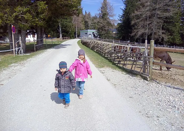 Wald-panorama-zimmer 3*